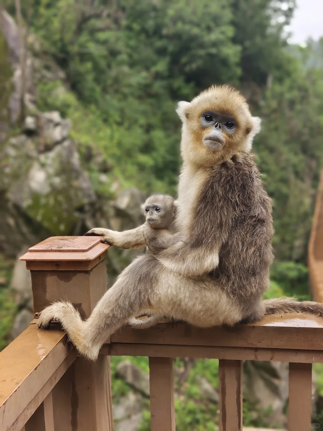 甘肃陇南，宝藏小城
