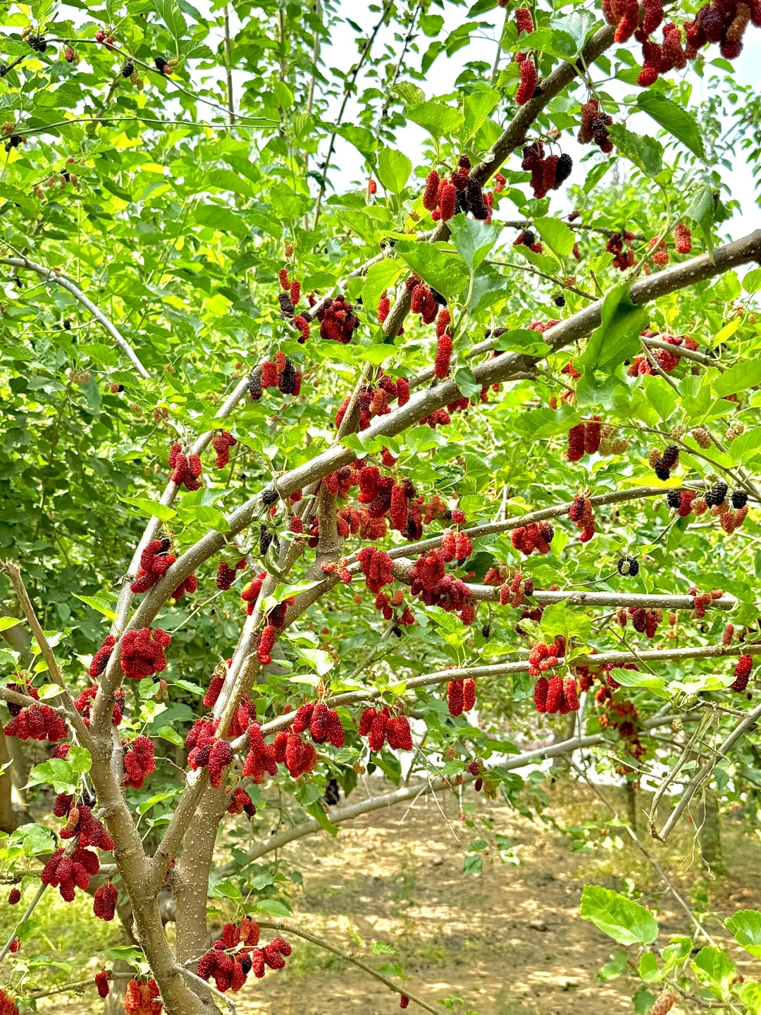 打卡邯郸小众人少又很好玩的地方!