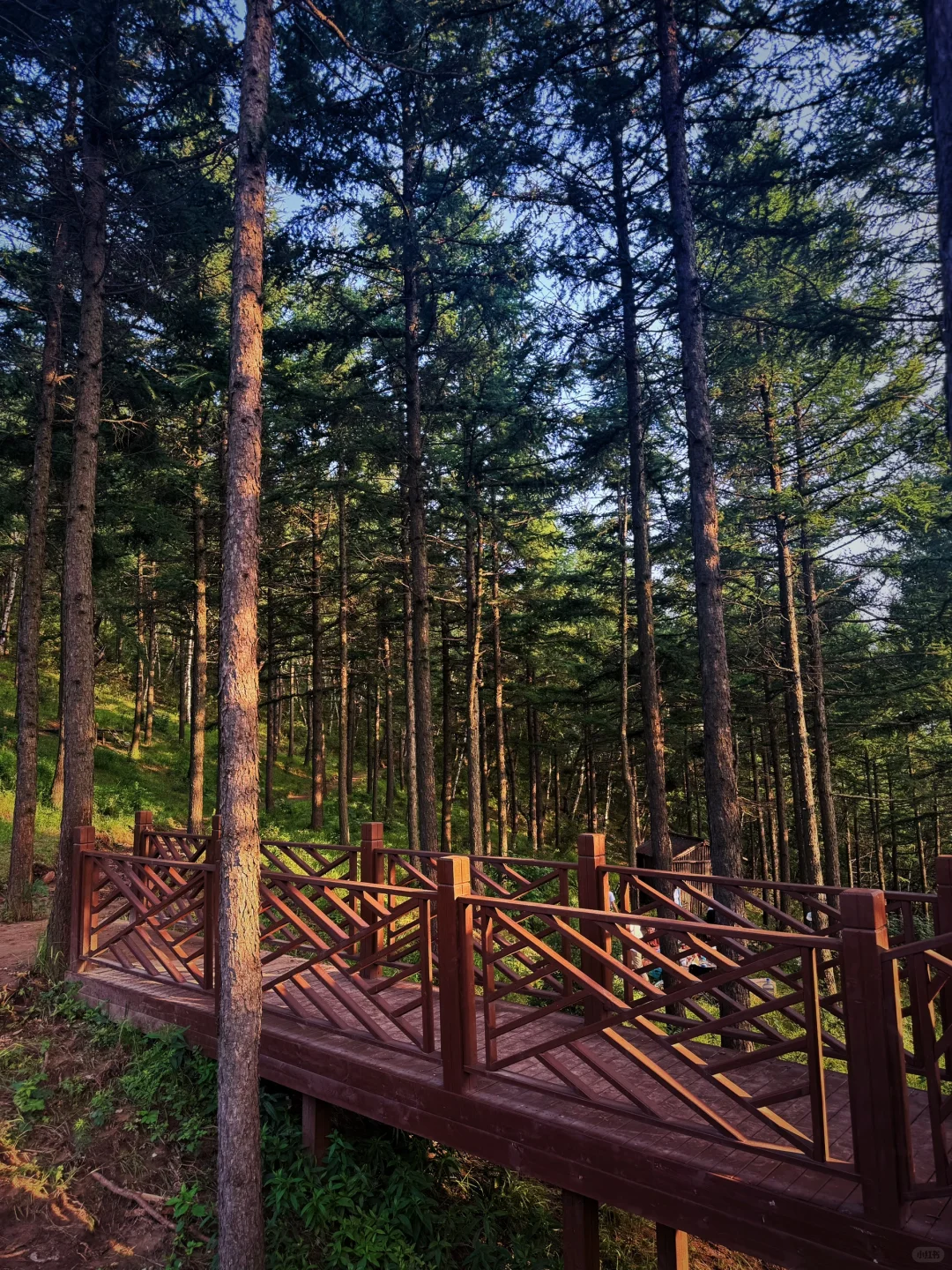 📍邯郸周边游｜感受23度的夏天