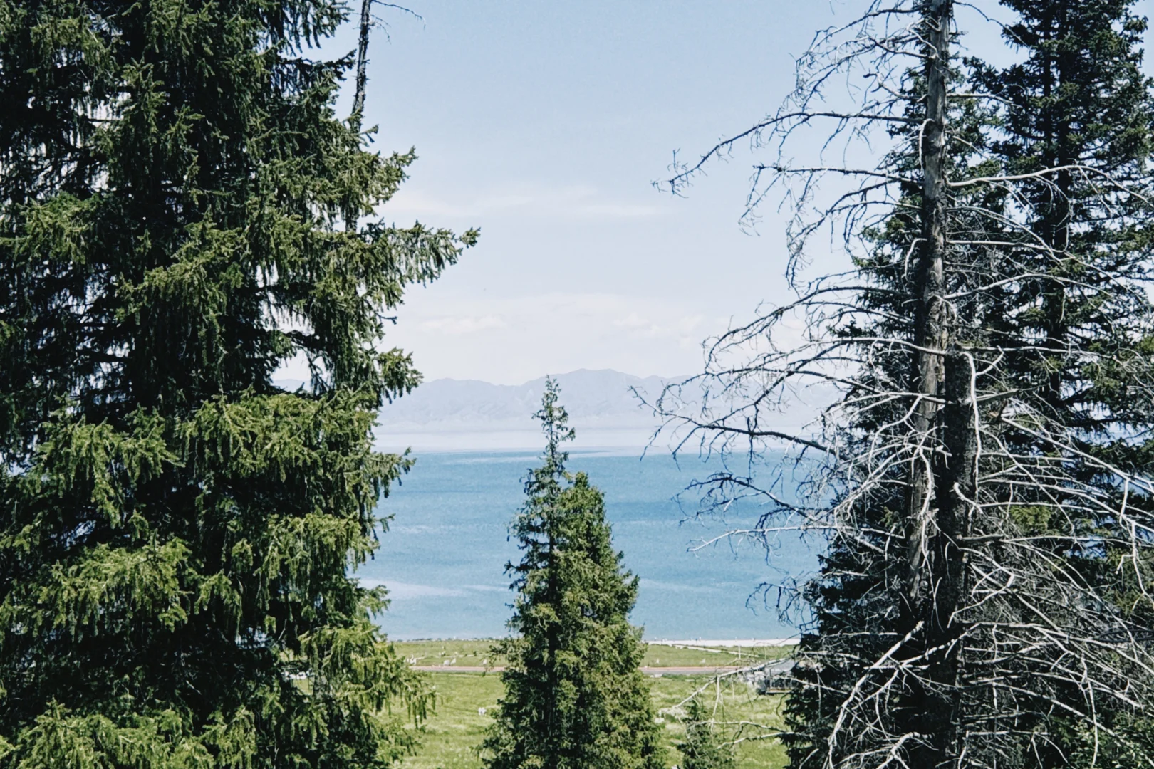 新疆自驾日记|第七站