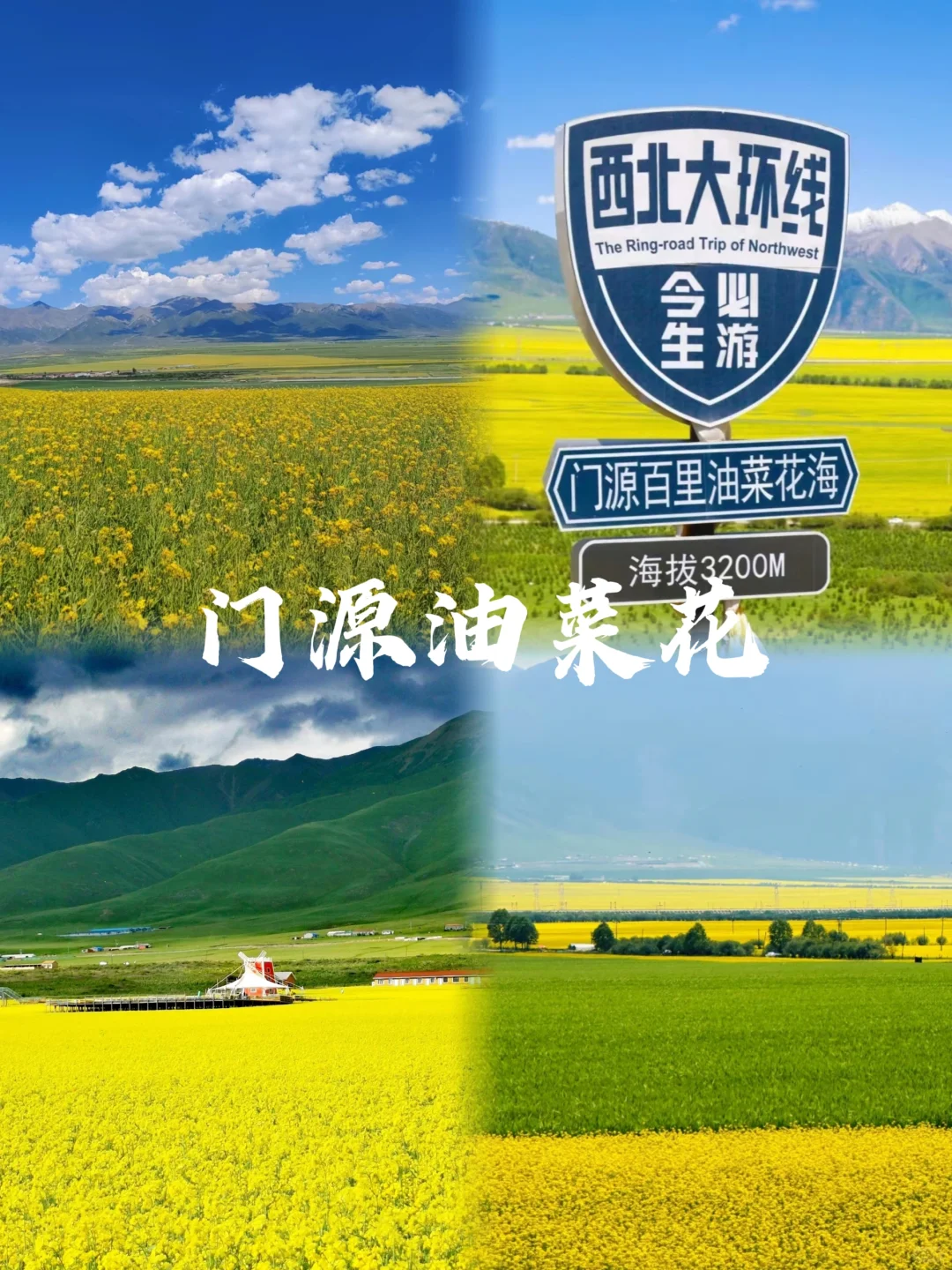 青海3日游🌈太适合夏季一家人玩啦🍻