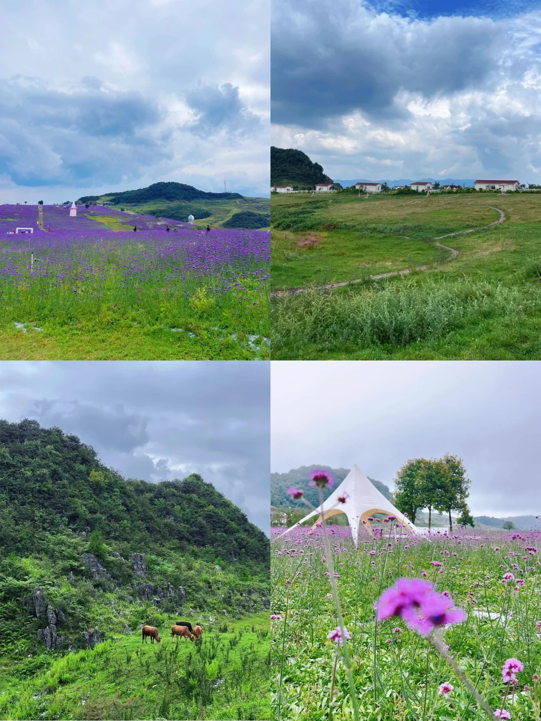六盘水旅行指南:六盘水必打十九大景点