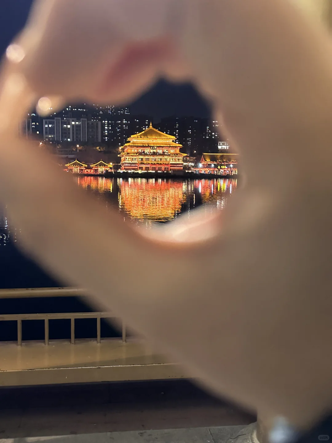 live｜生命的意义是感受