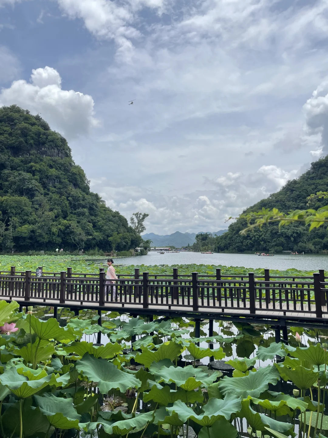 普者黑3日2夜亲子游🪷附上实用攻略