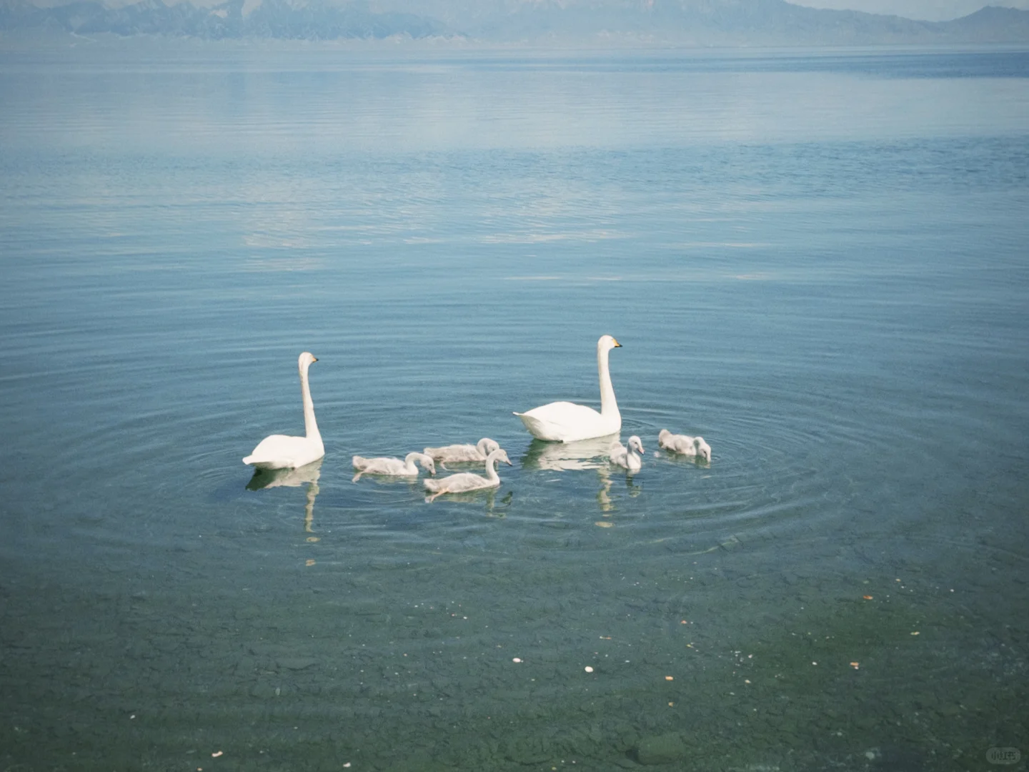 新疆自驾日记|第七站