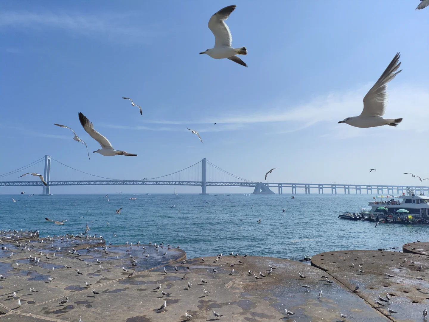 旅游记录 No.1:大连