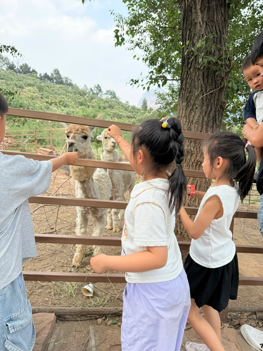 打卡邯郸小众人少又很好玩的地方!