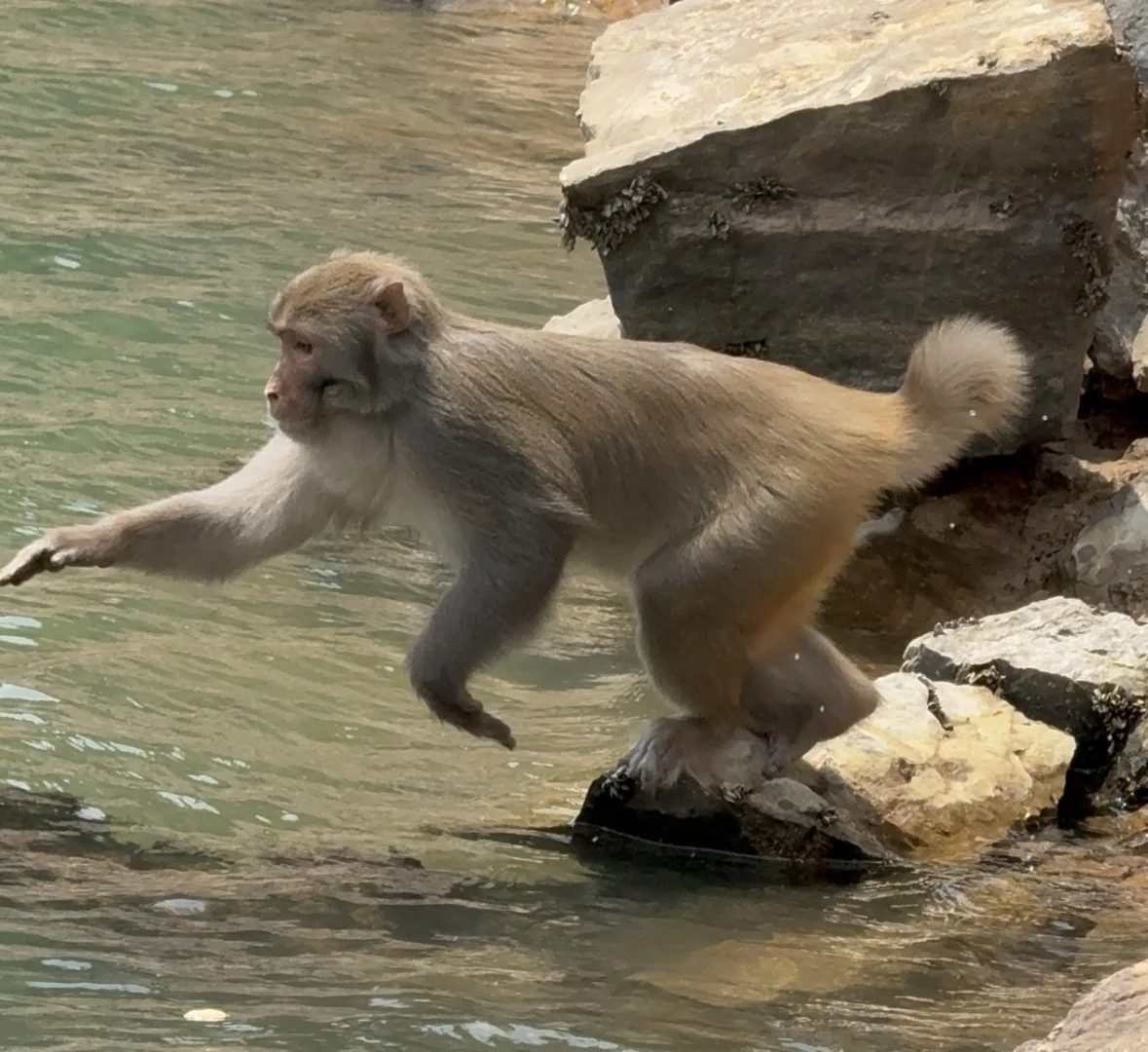 永福！这个地方也太……