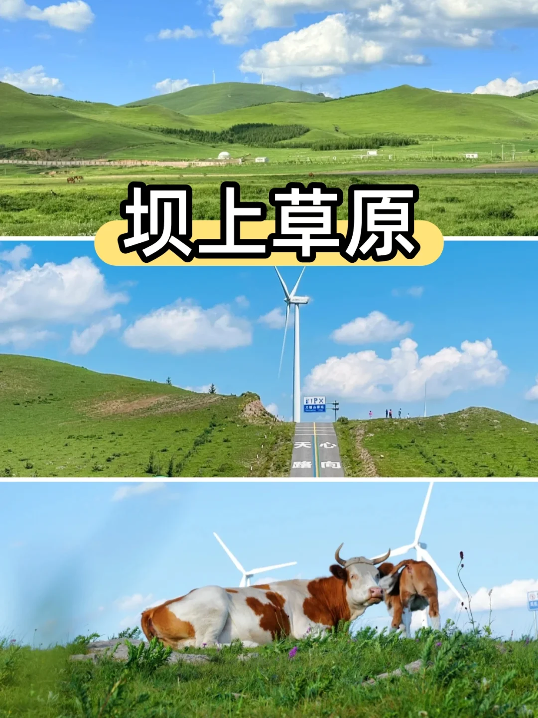 北京周边2天1夜团建攻略｜海边VS草原？