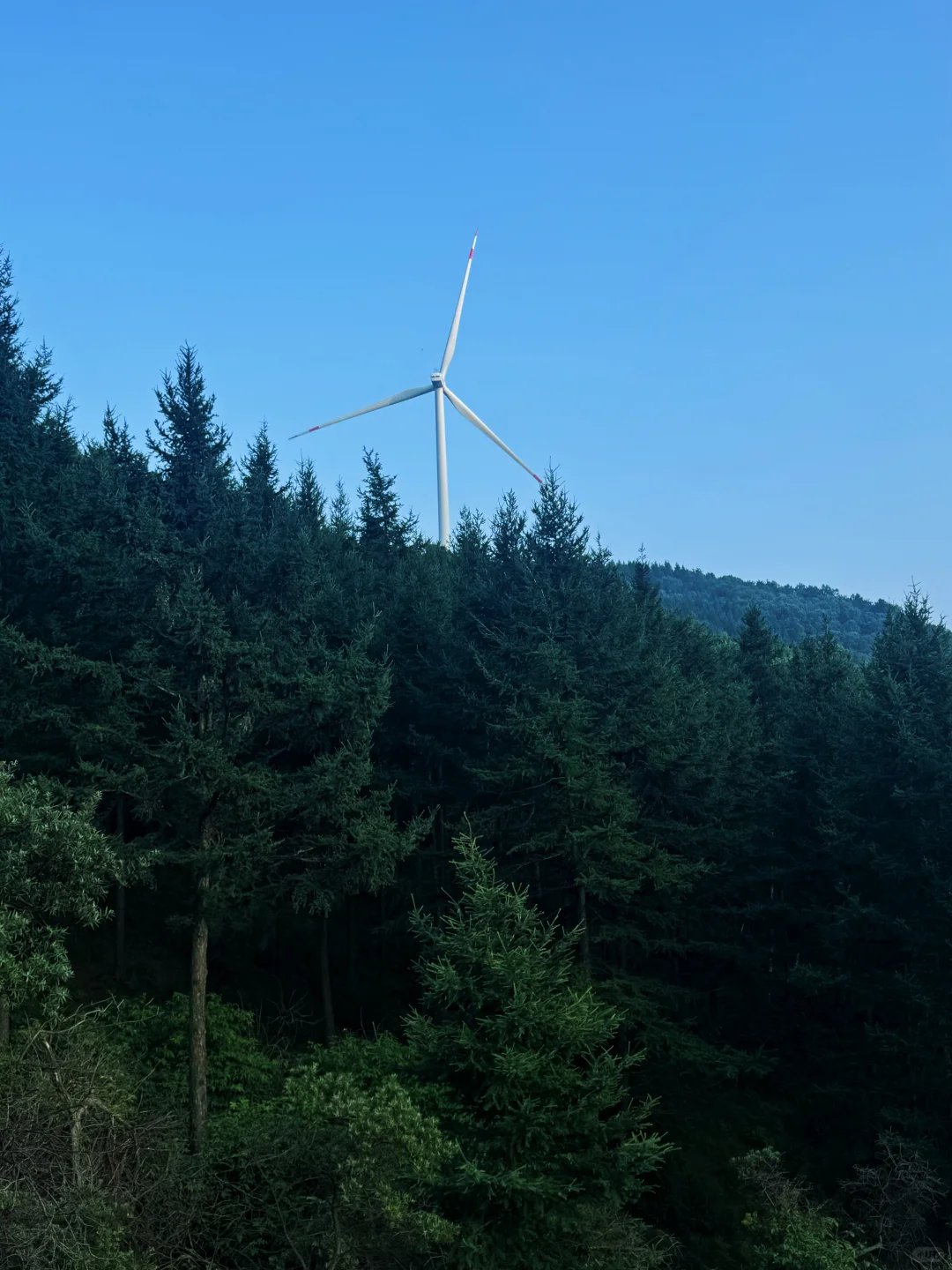 📍邯郸周边游｜感受23度的夏天