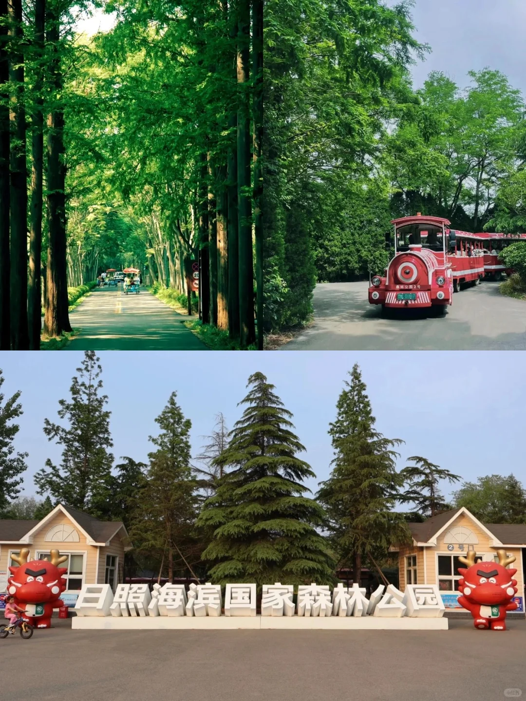 日照2⃣天1⃣夜旅游｜旅行💣行程攻略