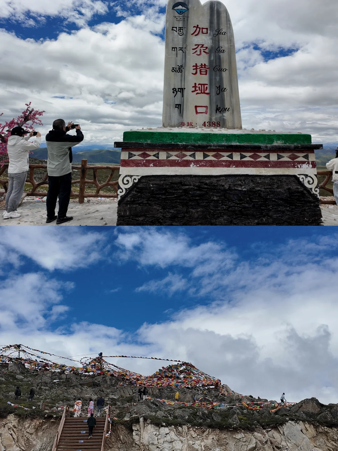 狗在川西也会高反吗？