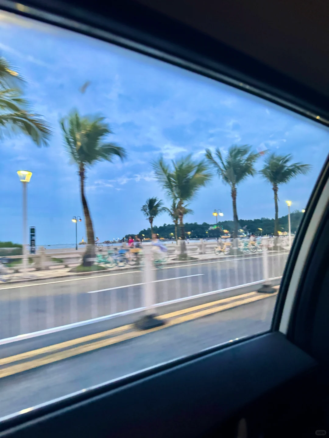 live实况｜车窗外的珠海好适合sea walk