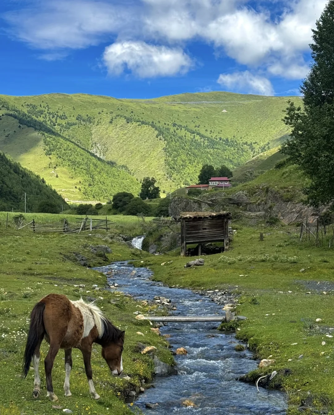 中国西部十省旅游目的地评级（个人向）