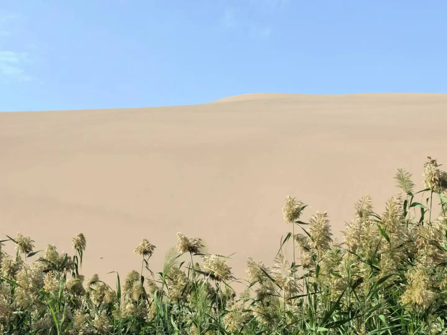 广西自驾新疆——第三站:敦煌