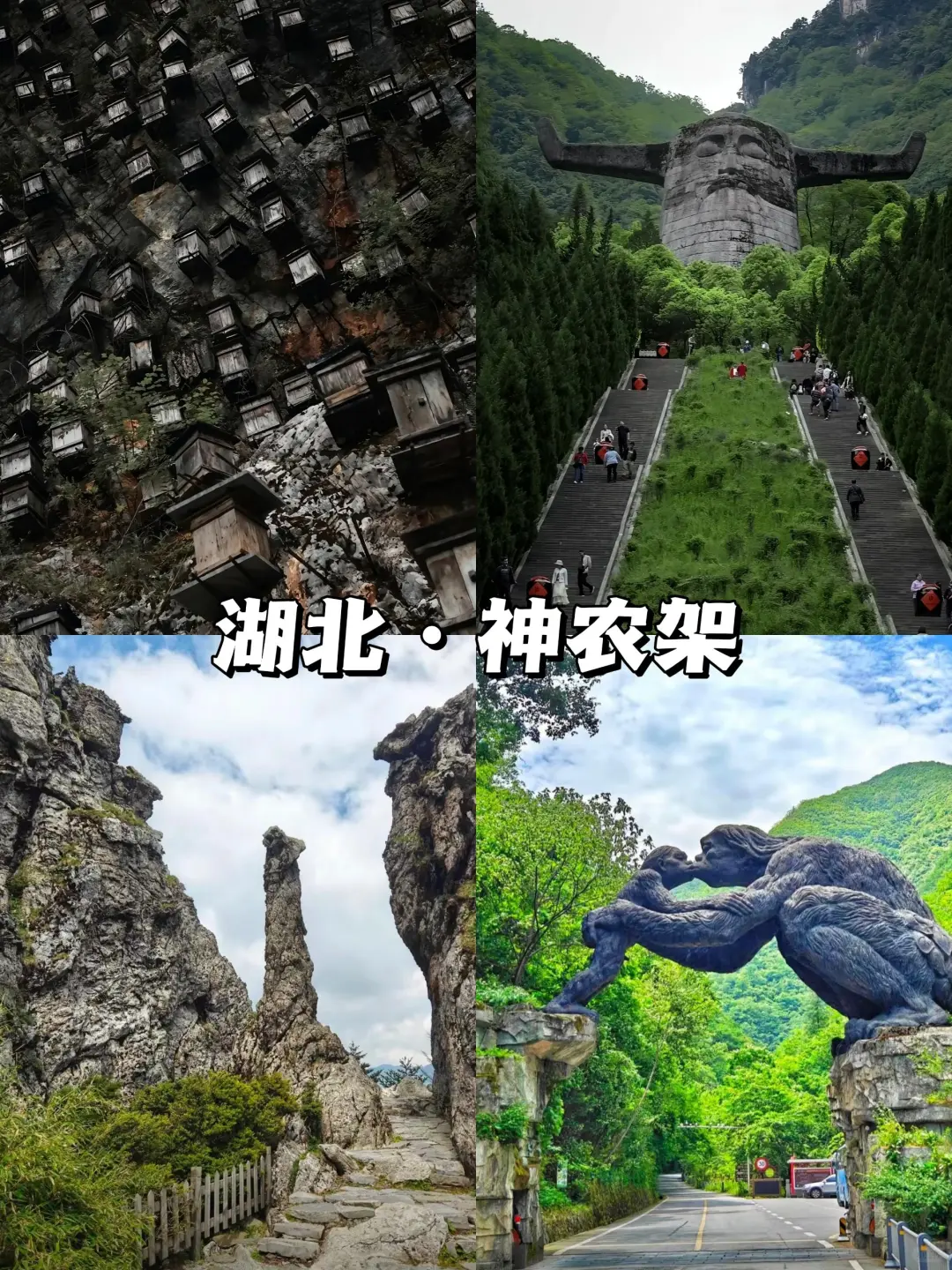 适合20-600人的避暑旅行城市✍🏻快快码住