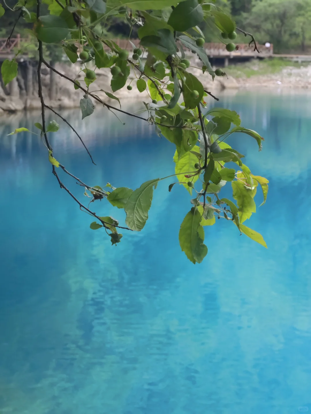 甘肃陇南，宝藏小城