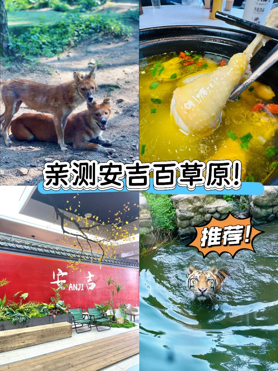 安吉百草园亲测攻略✅这些细节别错过！