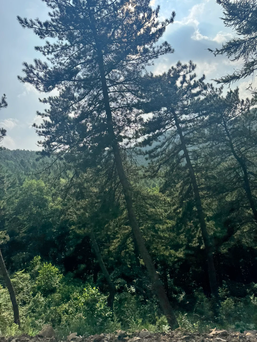 📍邯郸周边游｜感受23度的夏天