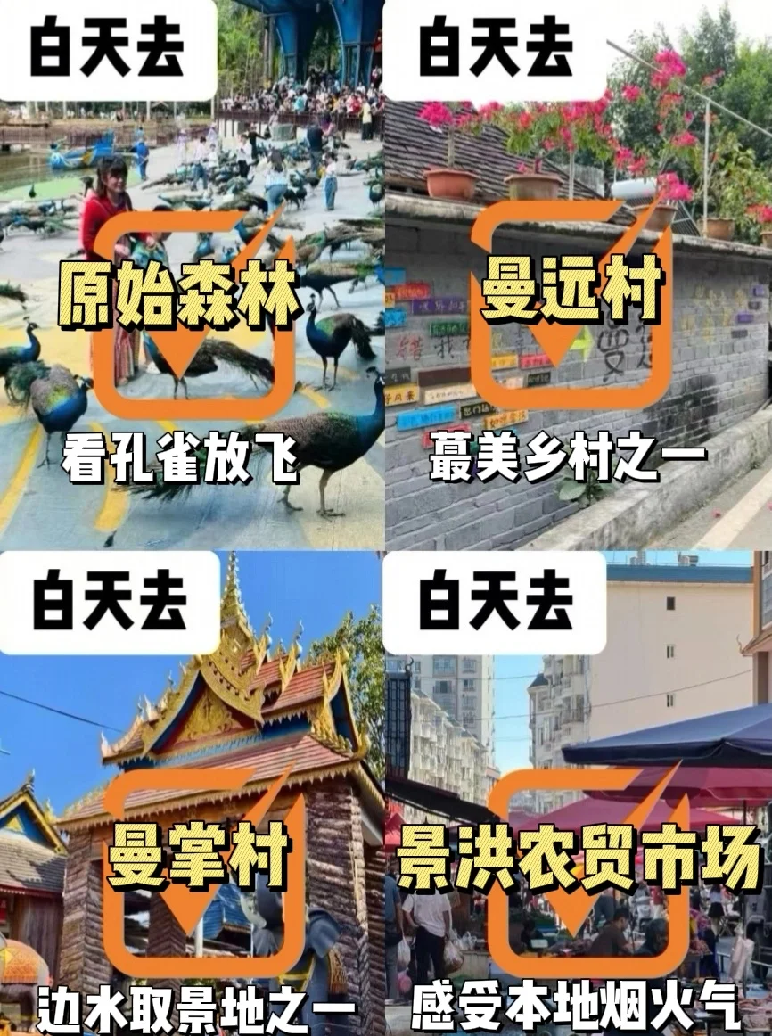 回来后立马总结版纳景点游逛情况‼️‼️