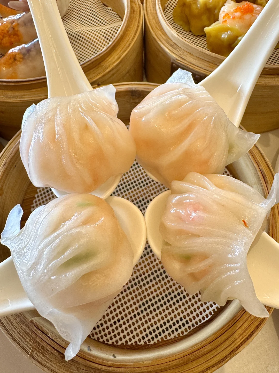 如果来珠海只有一天时间，直接复制这条路线！