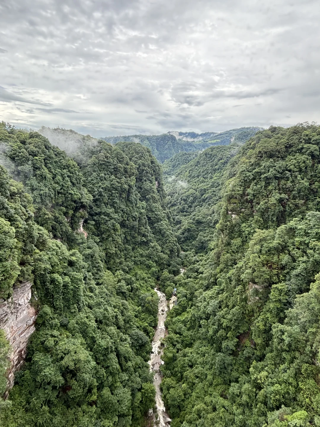 碧峰峡必拿奖牌攻略，🐼太乖了