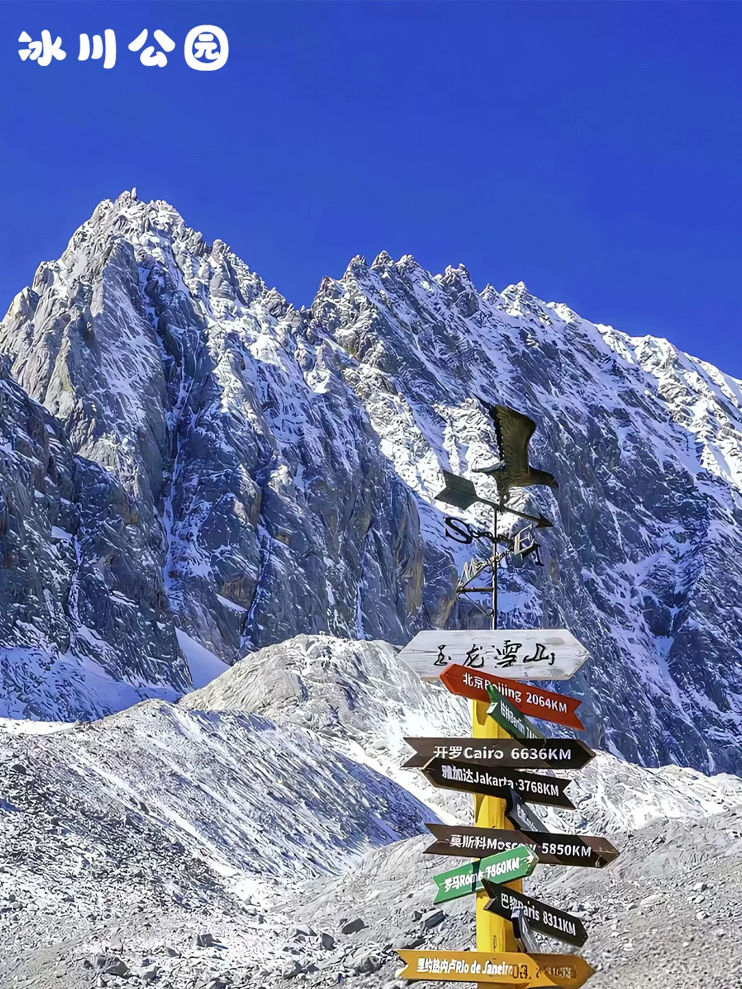 八人小团！人均268起✅打卡玉龙雪山✨