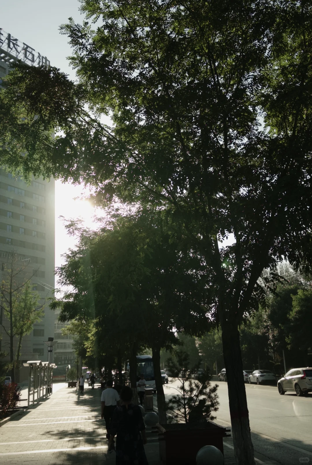 live｜生命的意义是感受