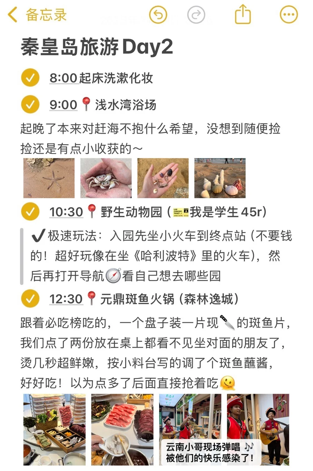 本J人对自己做的秦皇岛旅游复盘甚是满意🥳