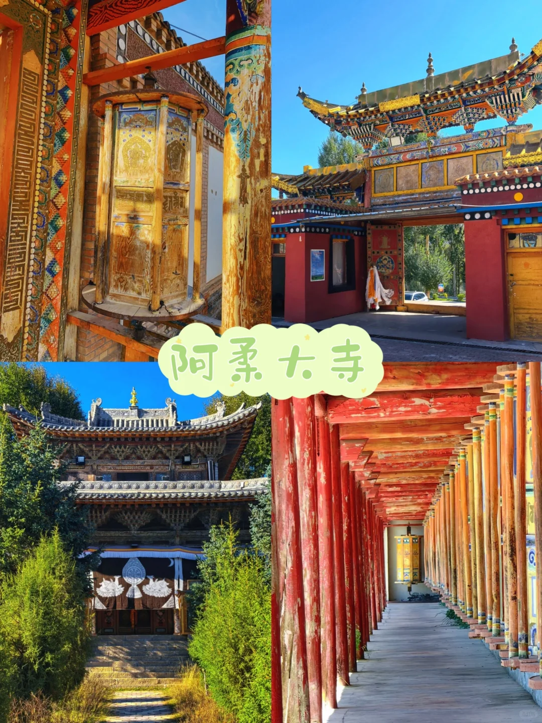 5-8月|青海3日游🚩精品纯玩小团🍻