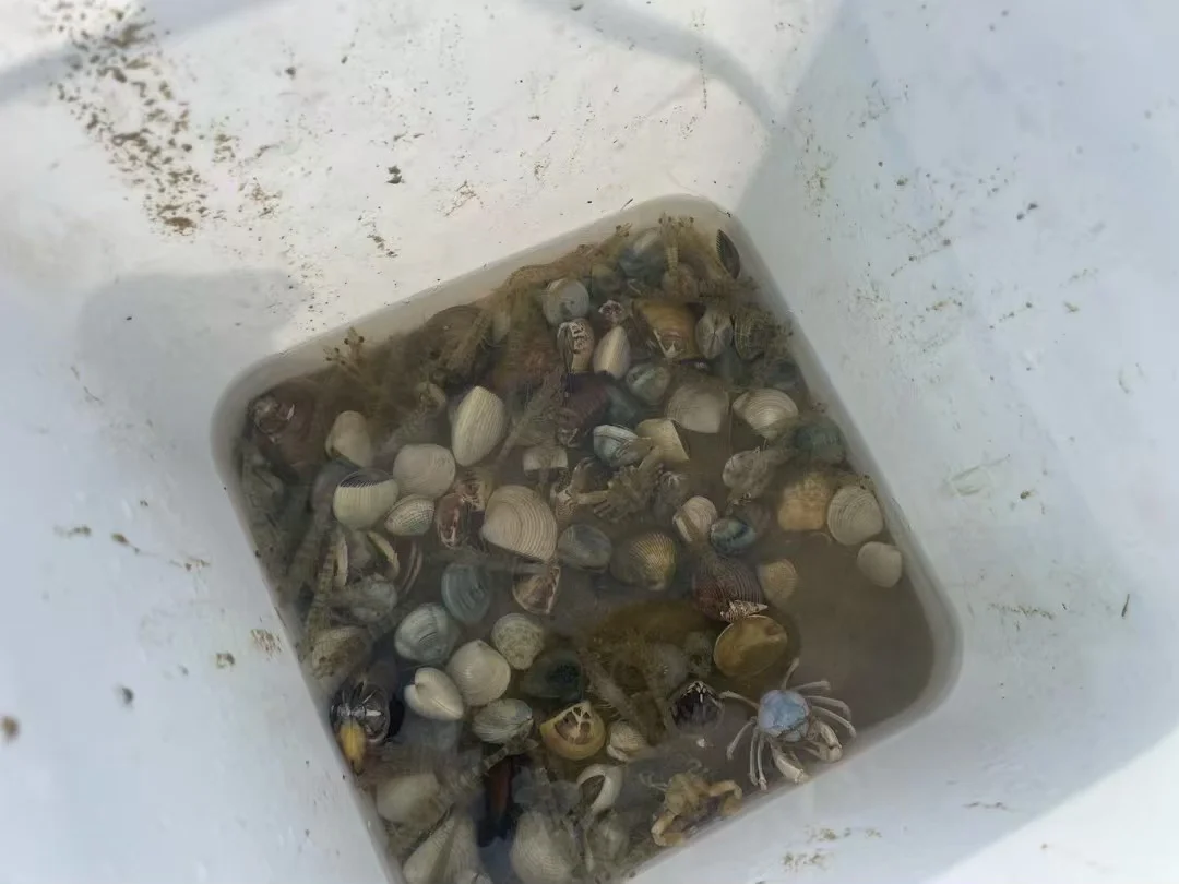 7刷海凌岛，用血的教训整理出的一份攻略……