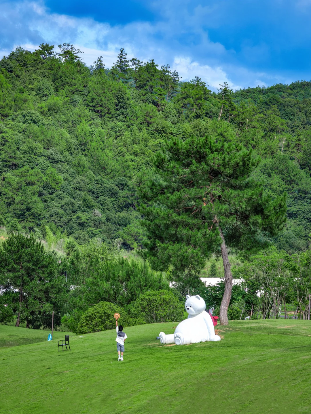 别去挤丽江了！杭州这片山水才是真避暑神地