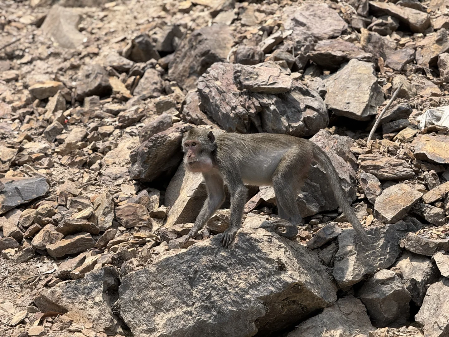 永福！这个地方也太……