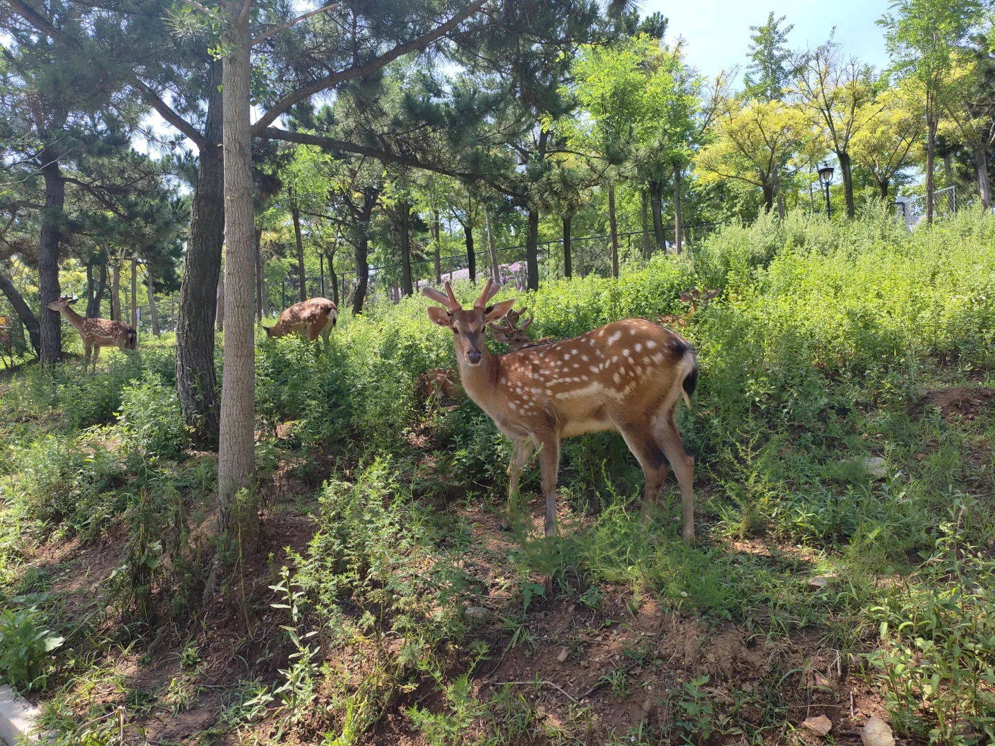旅游记录 No.1:大连