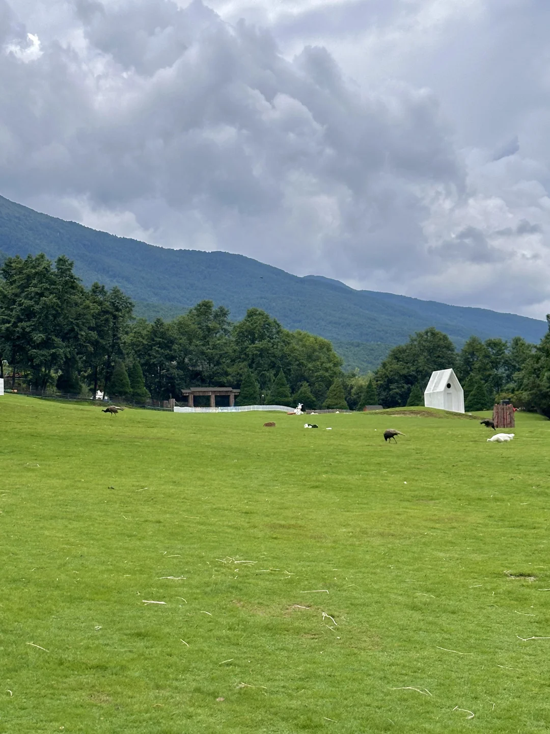 人少小众攻略｜为了这18张图飞了一趟云南🍃