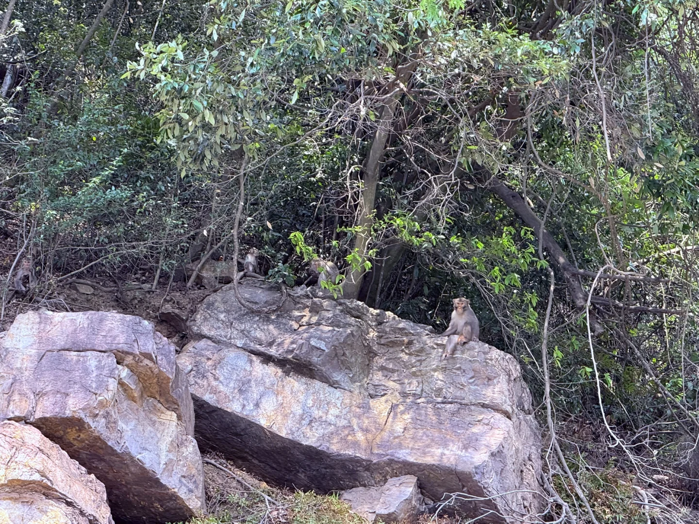 永福！这个地方也太……