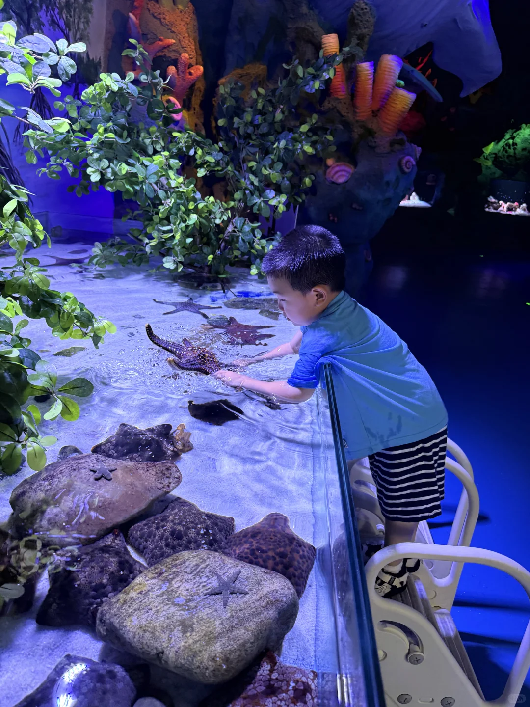 北京📍一些可以夜游的儿童乐园…（合集）💦