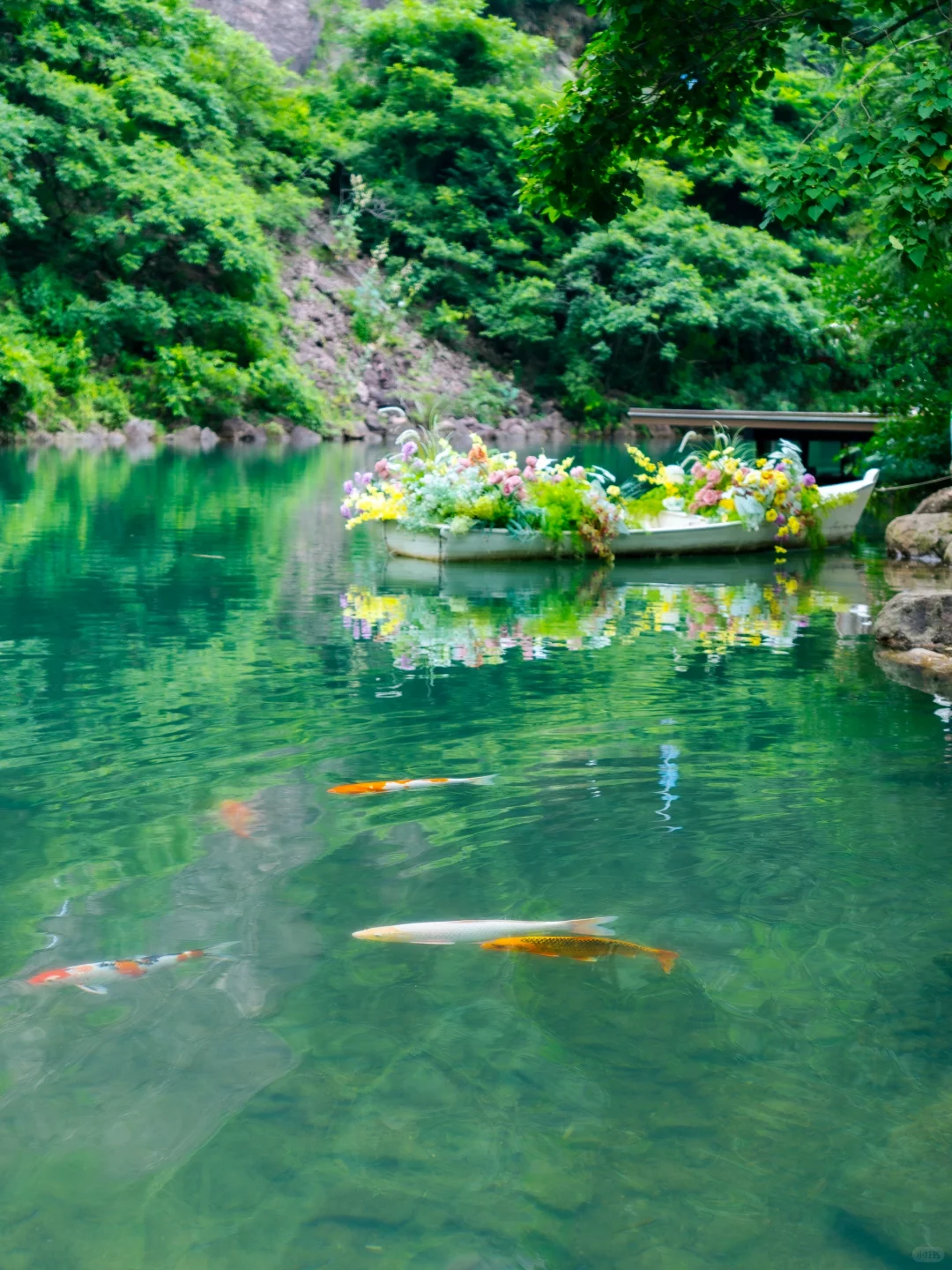 就在浙江！发朋友圈都以为我出国了