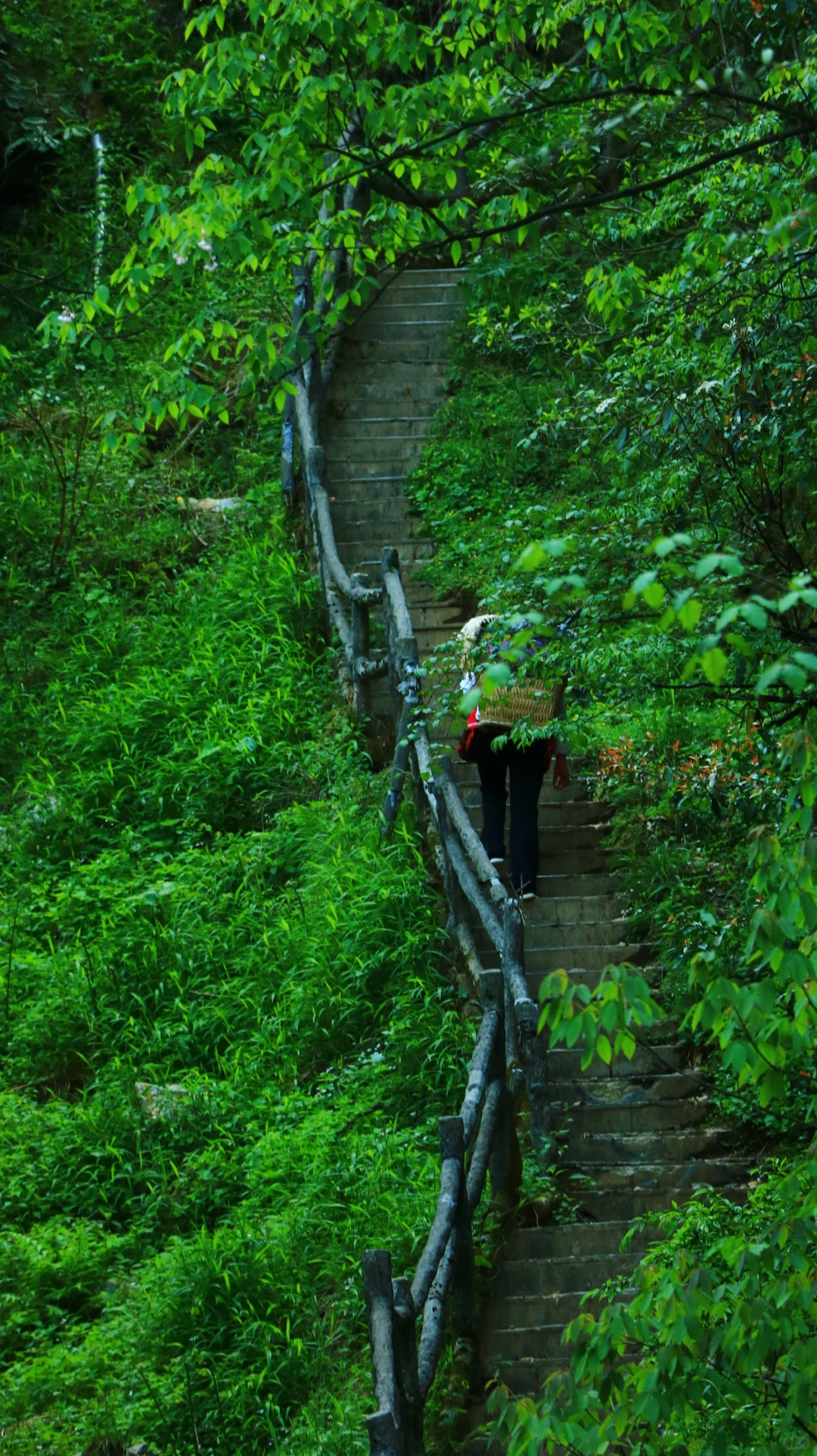 恩施大峡谷｜地球🌍最美伤痕