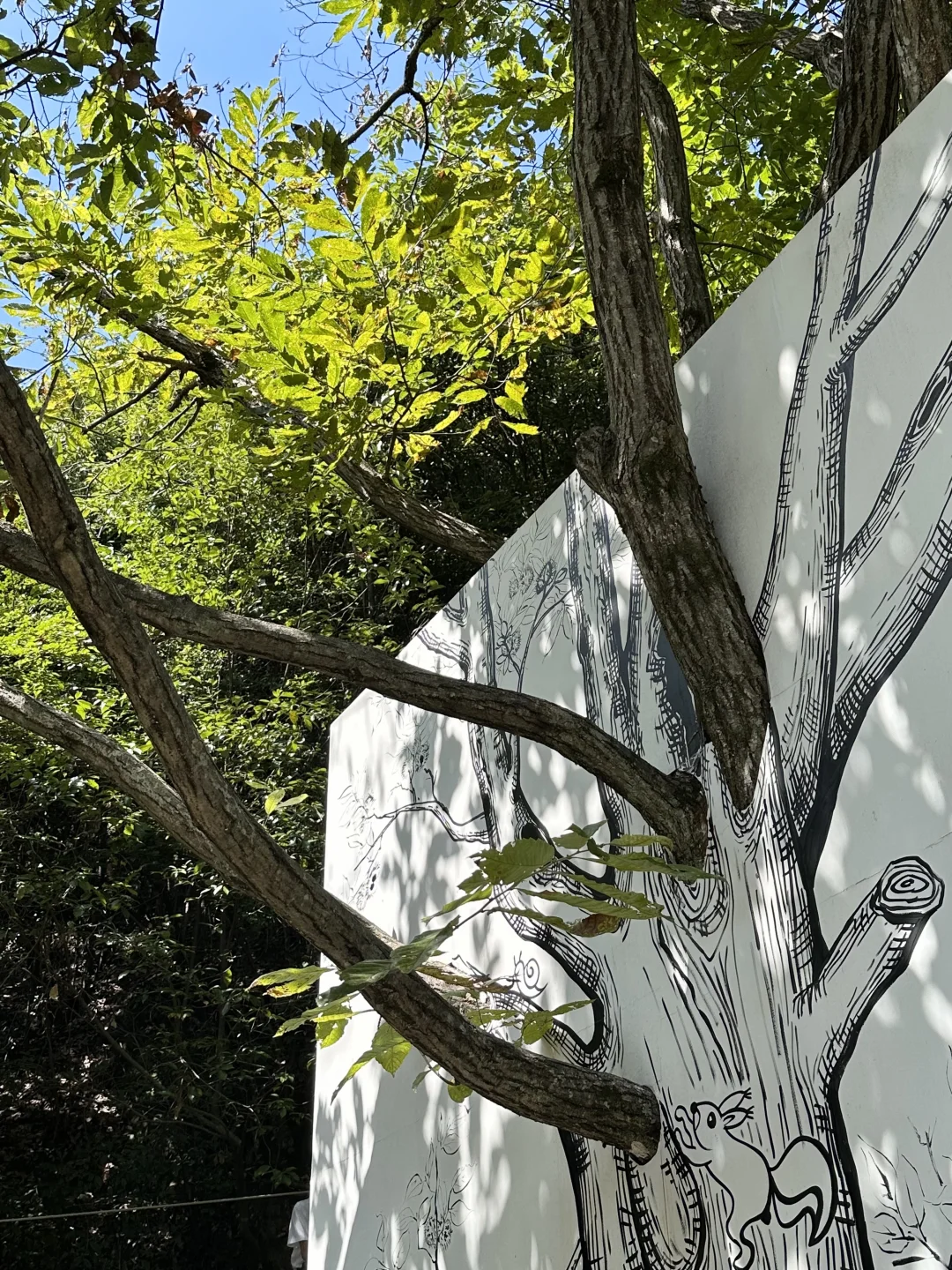 江西必打卡地📍这个地方我能来100次！