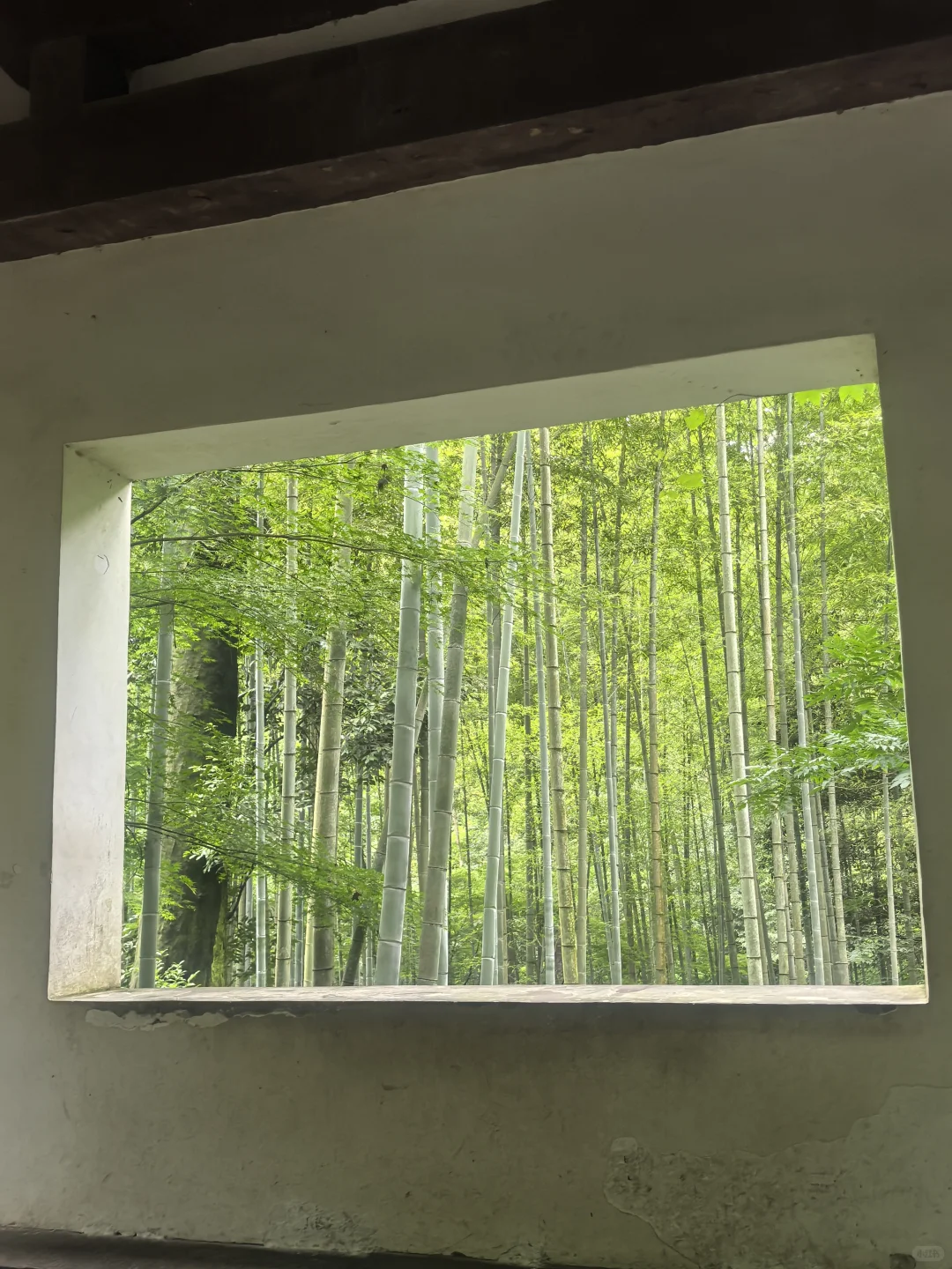 去杭州一定要去的小众景点！