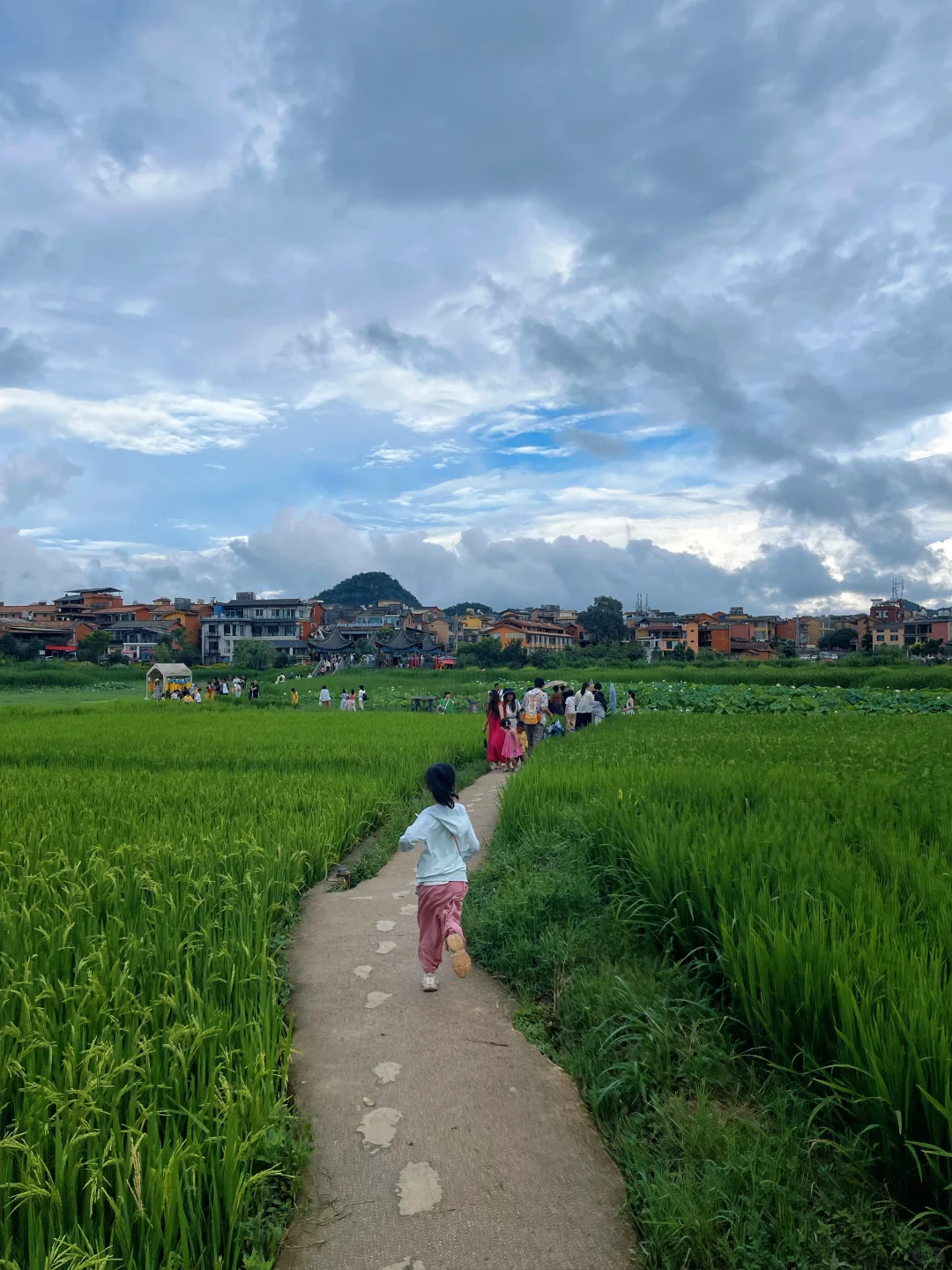 普者黑3日2夜亲子游🪷附上实用攻略