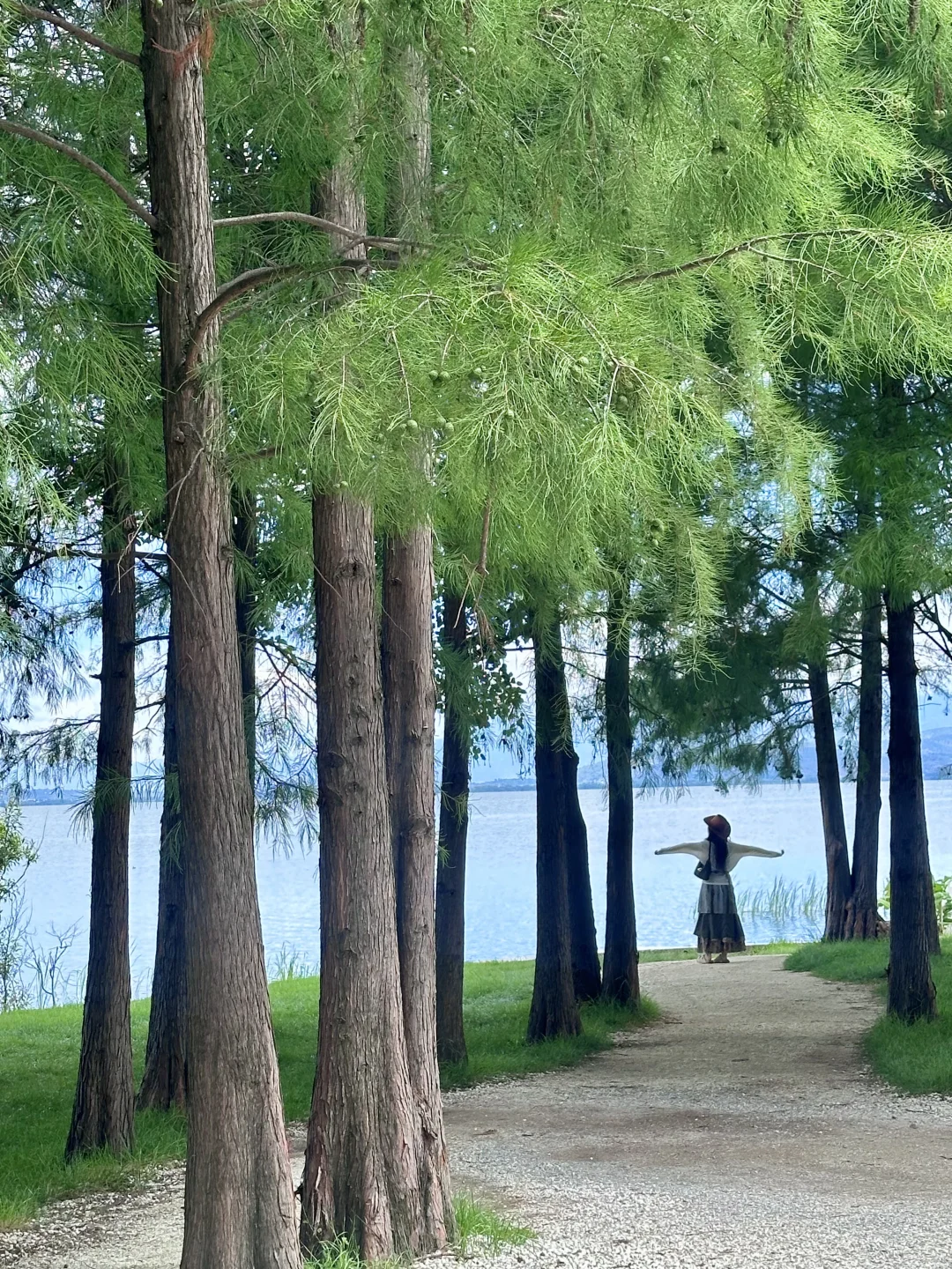 人少小众攻略｜为了这18张图飞了一趟云南🍃