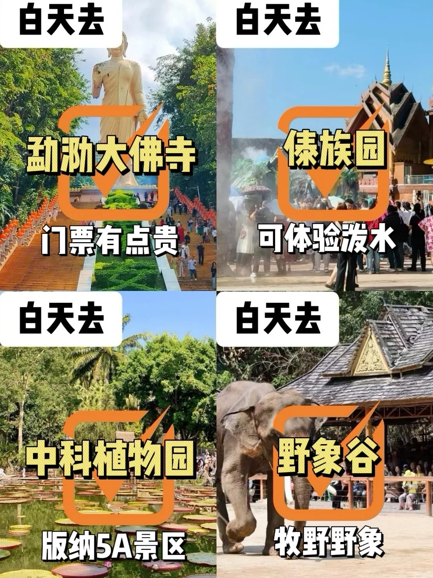 回来后立马总结版纳景点游逛情况‼️‼️