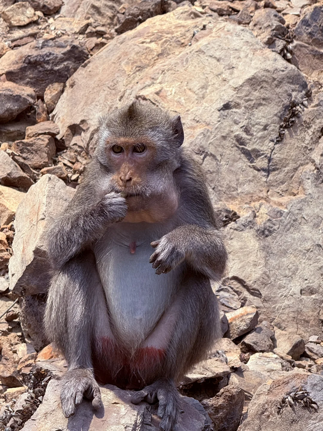 永福！这个地方也太……