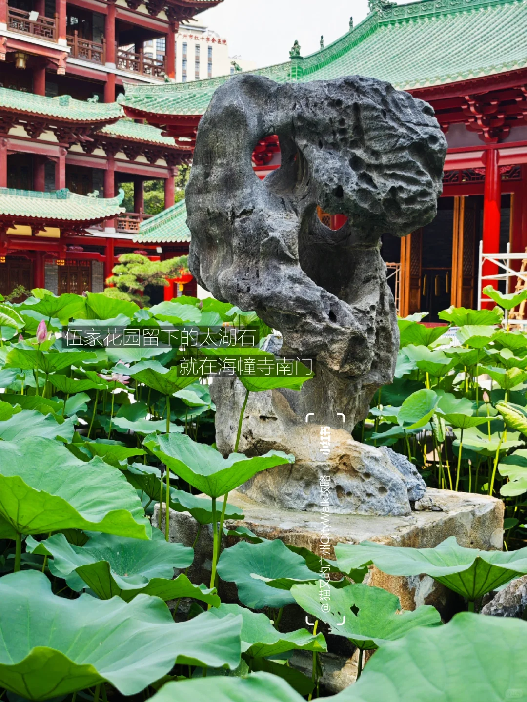 广州不花钱可以逛一天的精神避难所！