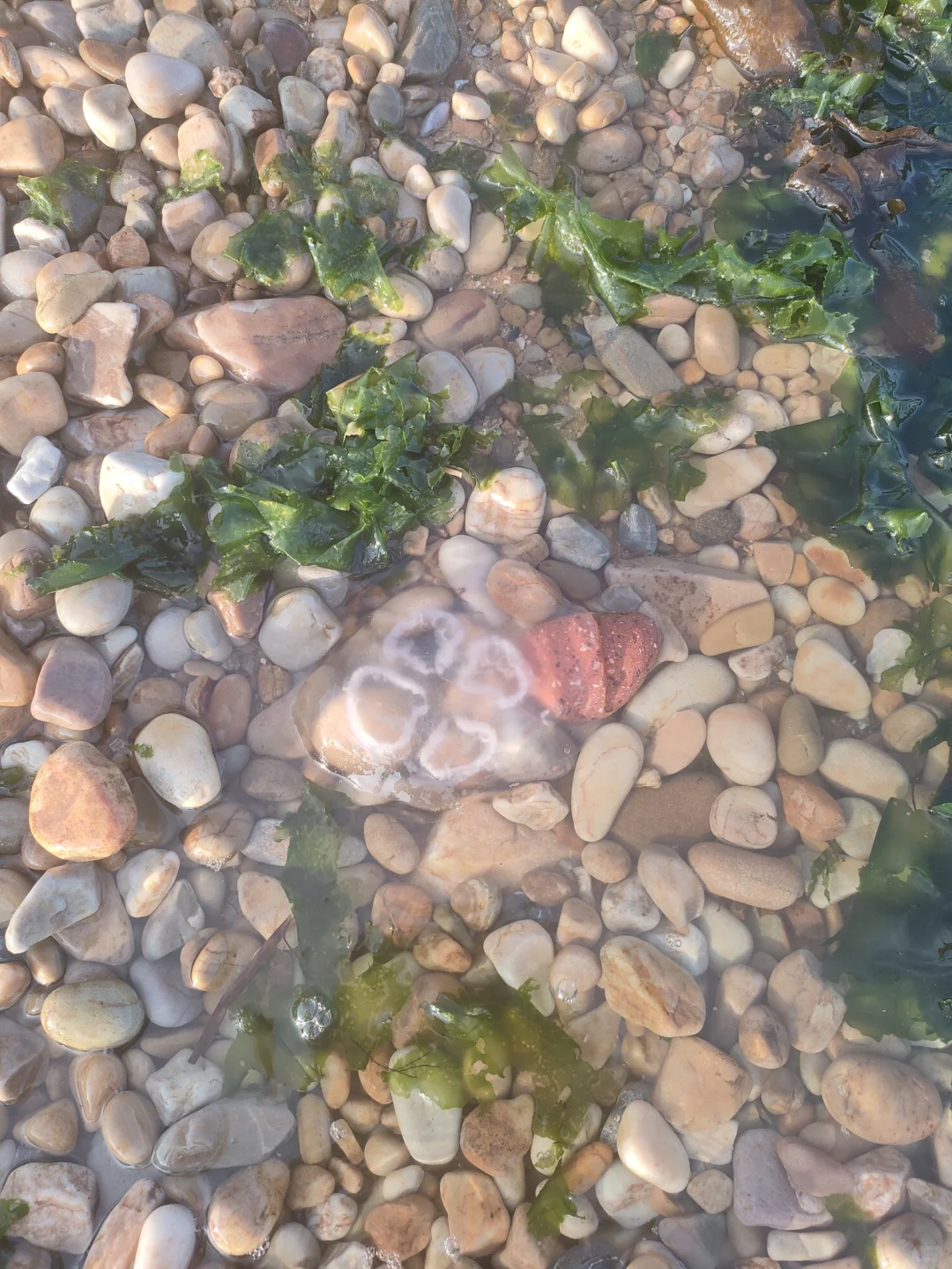 旅游记录 No.1:大连