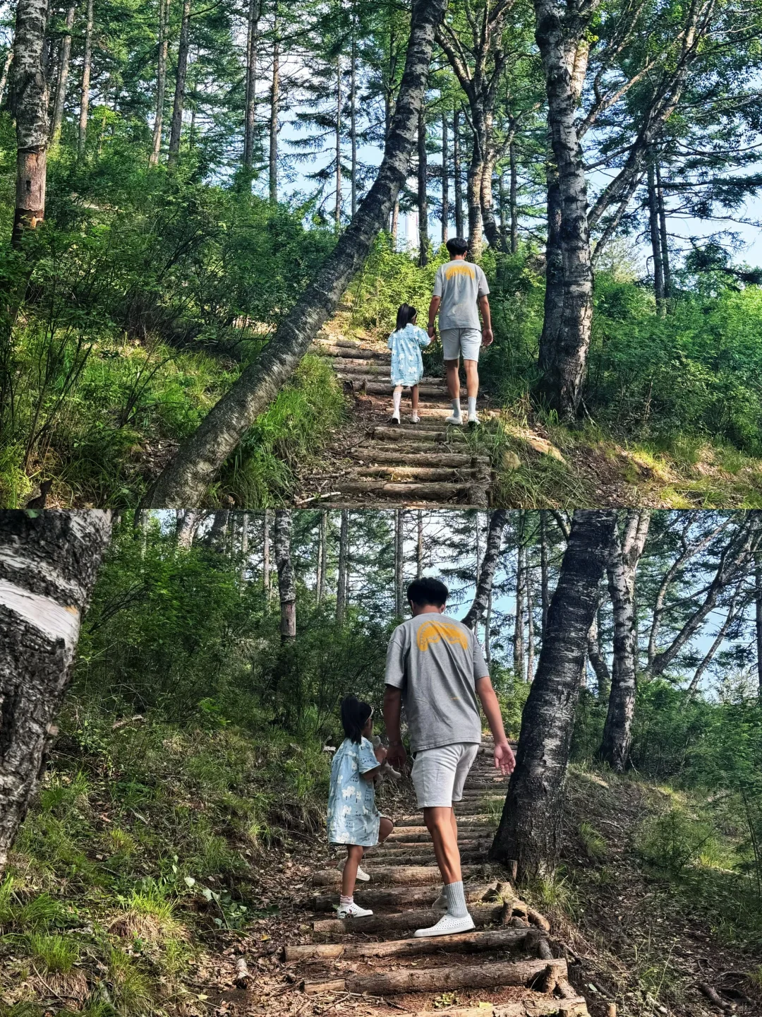 📍邯郸周边游｜感受23度的夏天