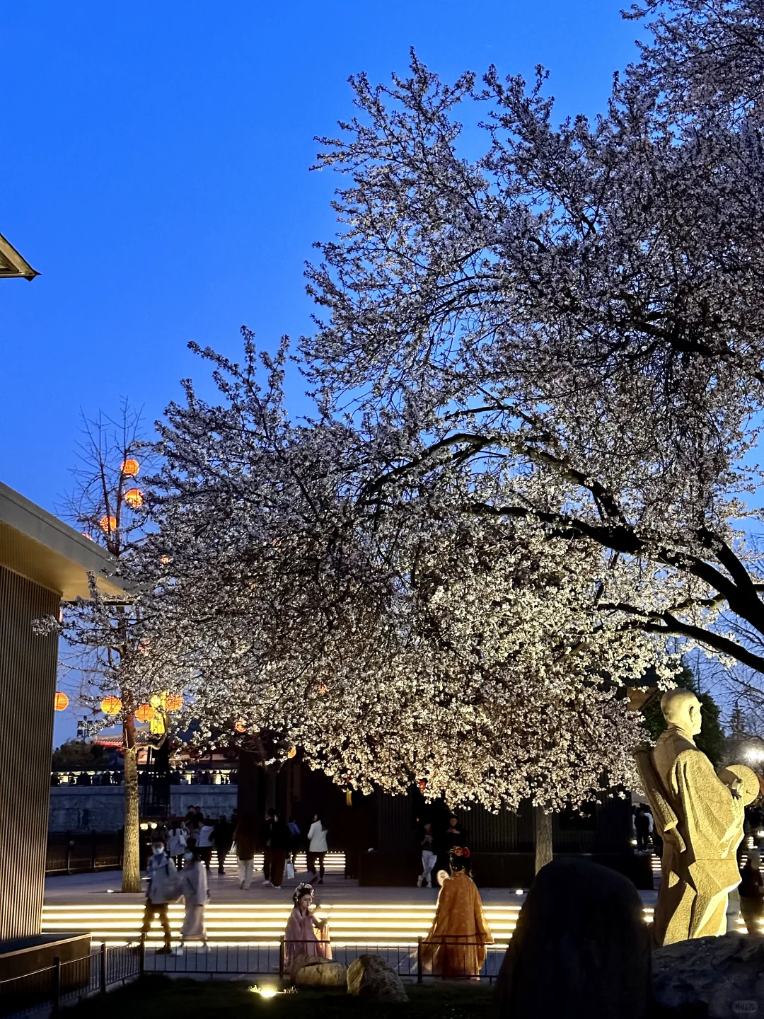 live｜生命的意义是感受