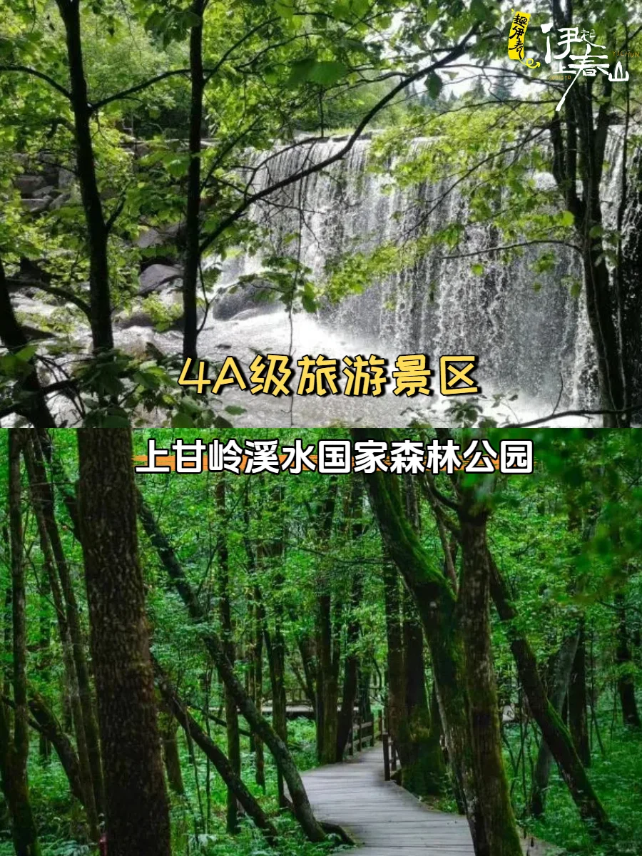 5月伊春免票周|13大景区0元打卡!速冲